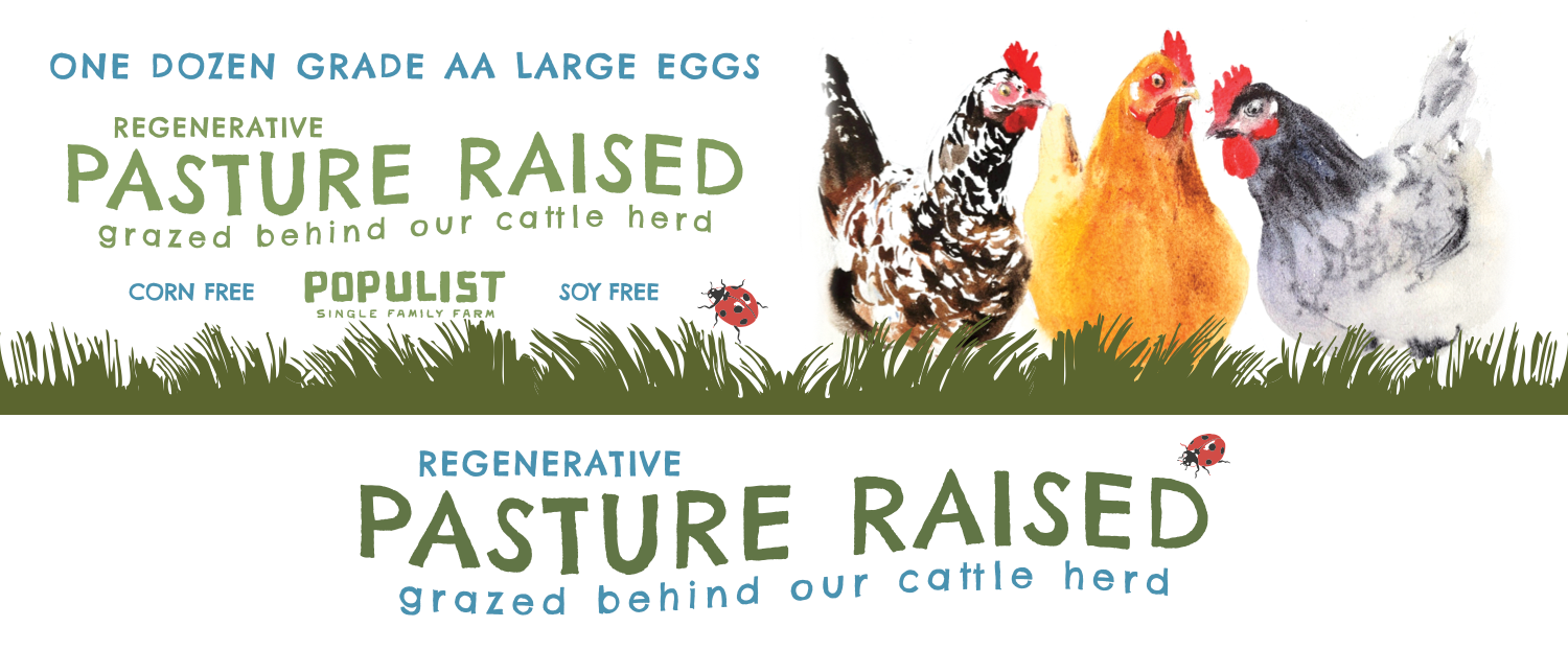 Pasture Raised Eggs